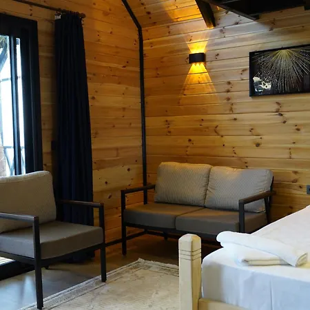 Ant Butik 3* Алания