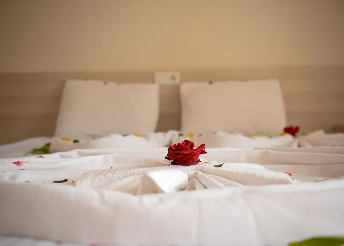 מלון Ant Butik 3*