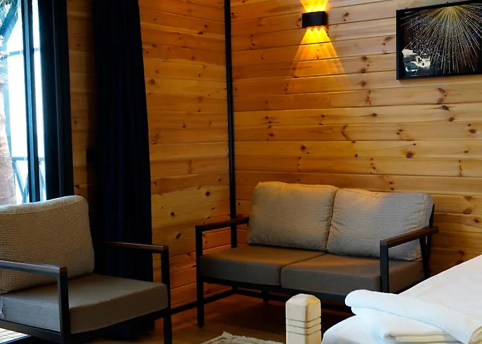 מלון Ant Butik אלאניה